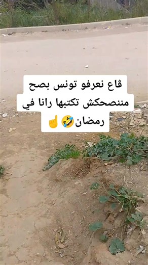 Vidéos de Zįnōō.ff🫂 (@zn.ff13) avec الصوت الأصلي - الـــــــــــشـــــــ🎭ـيخ..🥀