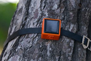 ForestGuard is building the 'Internet of Trees' to detect fires even earlier