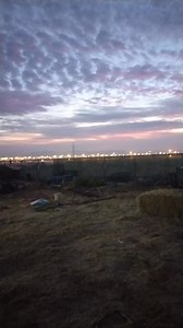 3.4K views · 48 reactions | #camels | Funny Videos | Facebook