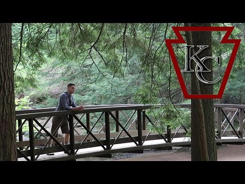 Cook Forest State Park, Old Growth Forest - CLARION JEFFERSON and FOREST COUNTIES