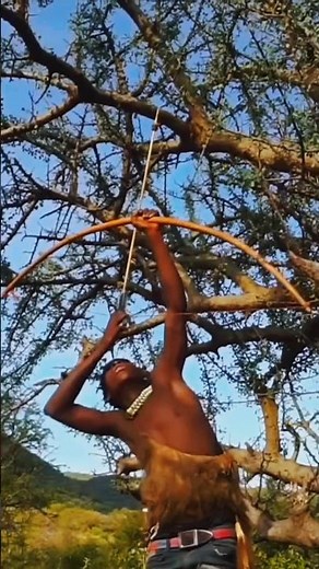 African Tribe Hunting Birds |Traditional Hunting Skills in the Wild 🏹🐦 #AfricanTribe #AfricanCulture