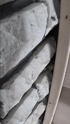 Bat Droppings – Entry Point Found (Minden)