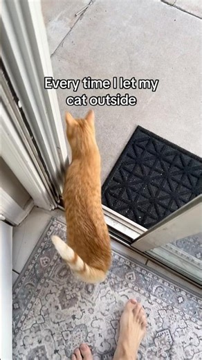 Letting my cat outside!