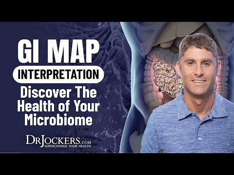 GI MAP Interpretation: Discover the Health of Your Microbiome
