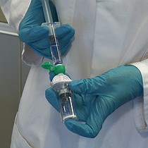 Video: Contrast Enhanced Ultrasound Imaging for Assessment of Spinal Cord Blood Flow in Experimental Spinal Cord Injury