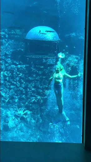 A Look at the Weeki Wachee Springs State Park Mermaid Show