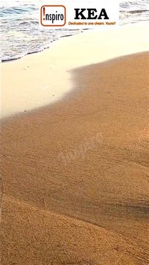 File Formats and Data |INSPIRO Communication Paper2|KEA Paper 2|Computer Facts #kea708