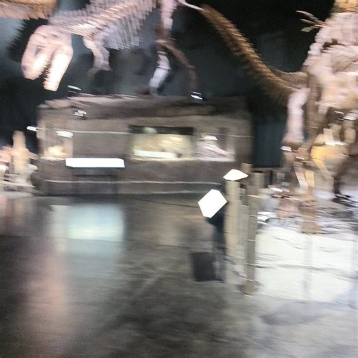 aroundtheworlders on Instagram: "🇦🇷 Museum of Paleontology Egidio Feruglio 🇦🇷 🦕 We had an amazing time at the Museum of Paleontology Egidio Feruglio in Trelew, Argentina. It was incredible to walk underneath the life size skeletons of these giant beasts. It was a fun learning experience for the children, seeing the role of evolution and the work done by Darwin, as well as a short movie by David Attenborough. The highlight was definitely having the chance to hold a real dinosaur vertebrae! #