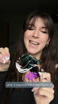 Il se nourrit du sang de sa femelle ! Reproduction chez la Baudroie des abysses #biologiemarine