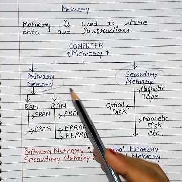 Computer Memory | Memory types | Primary Memory | Secondary Memory #shorts #memory #youtubeshorts