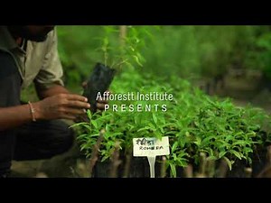 Trailer | Forest Creation Tutorials | English