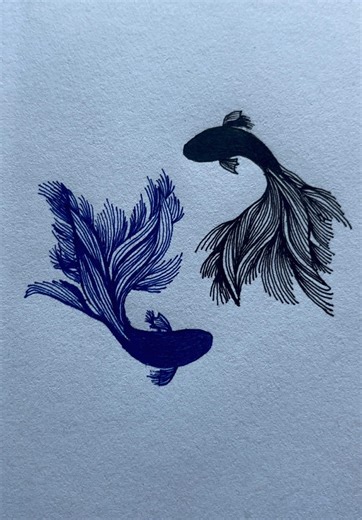 Betta Art on Paper: Stunning Fish Drawings