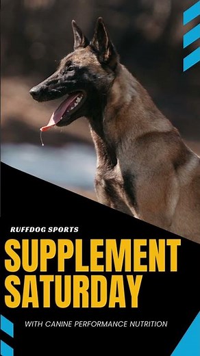 Canine Performance Nutrition Vertex
