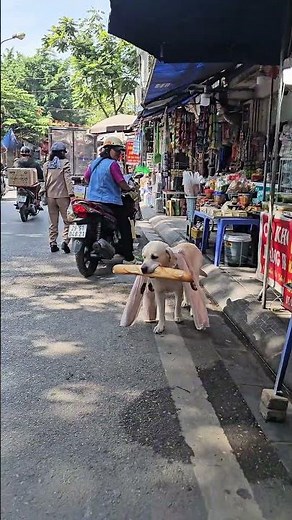 Are you greedy with me for having bread? I probably don't have enough money to buy bread 😅😂 #funn...