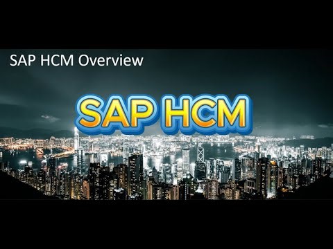 SAP HCM Brief Introduction