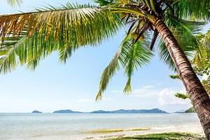 35 Inspirational Quotes On Decisions