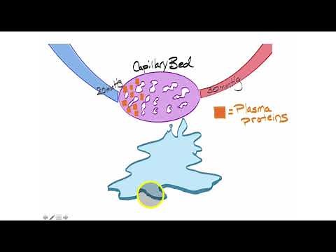 Colloid Osmotic Pressure