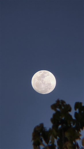 Buck Moon #buckmoon #moon #bulan #astrophile #astrophotography #astronomy #selenophile #nightsky #langitmalam #langitaesthetic #apexel #shootonxiaomi