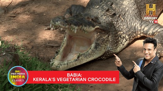 11K views · 115 reactions | From men with superhuman strength to...