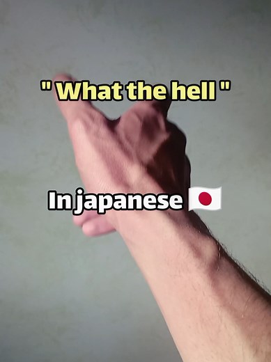 Understanding the Meaning of 'What the Hell' in Japanese