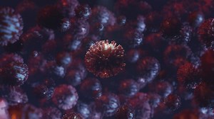 Free Science Videos: 4K & HD | No Watermark | Download Now