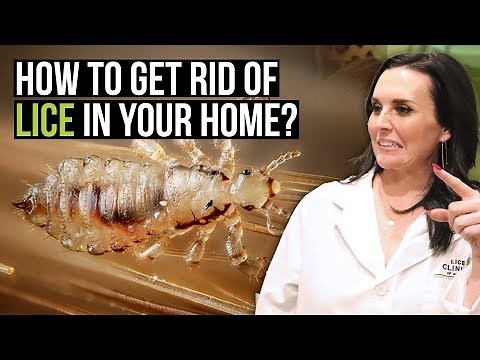 How to Get Rid of Lice in Your Home - 6 Tips for Removing Head Lice