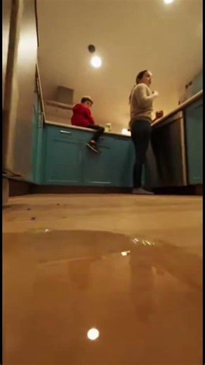 Cockroach’s Point of View