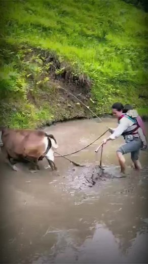 7.7K views · 28 reactions | This girl from China does farming in the hilly area ~ #shorts #freefireshorts #funnyvideos #ayodhya #tiktok #shortsreels #shorts #shortsreels #viral #viralreels #trending #trendingreels #instagood #instagramreels #instagram #igreels #instagramreels #reelsinstagram #instagram #reelsinstagram #reelsviral #videocreator #trending #trendingreels #viralinstagram #craftingGU #crafting #crafts #handcraft #skill #lifehacks #5minutecrafts | Smart Work | Facebook