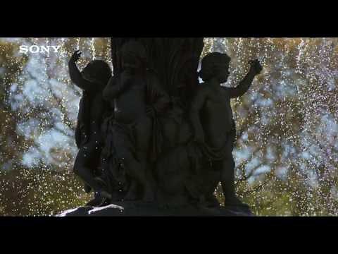 FS7 II Camcorder Test Footage (4K)