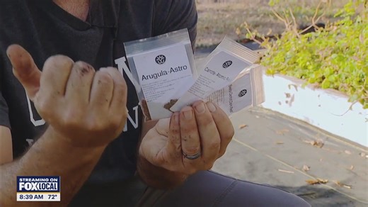 Understanding seed packet instructions