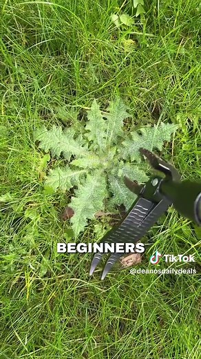 Effortless Gardening: The Ultimate Weeding Tool