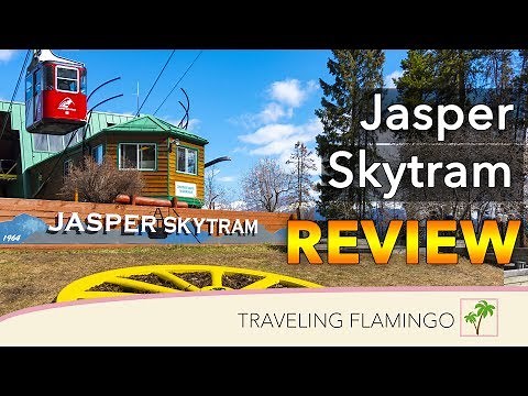 Is the Jasper SkyTram Worth It? | Things to do in Jasper National Park (Alberta, Canada)