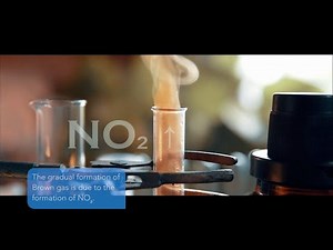 What happens when Zinc (Zn) reacts with conc Nitric acid (HNO3)? | Zn+Conc HNO3