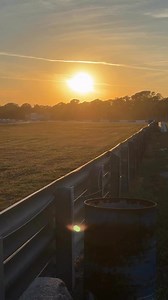 When racing into the sunset is on the schedule 🙌🏻 | Historic Sportscar Racing