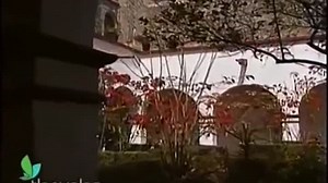 Corazón salvaje - Capítulo 80 (Final completo)