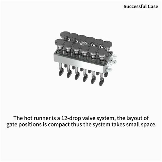 [Successful Case_Toy Accessories]