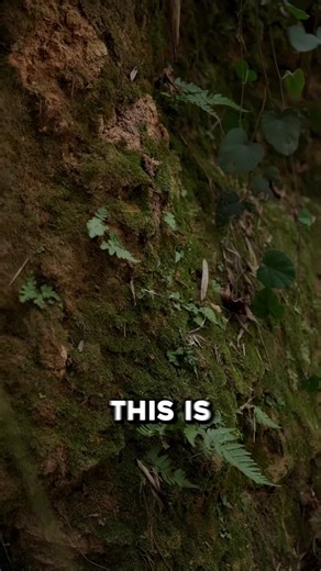 The Invention of Explosives Over 1000 Years Ago