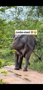 Black Culture Tours & Events on Reels