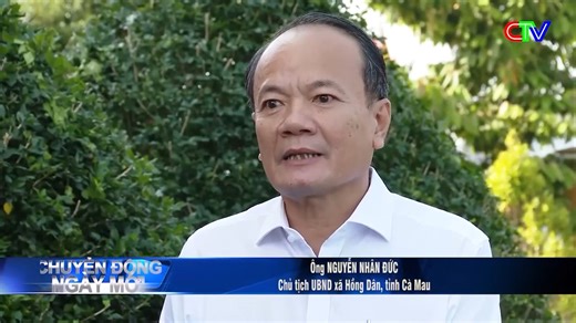 PHỦ XANH BỜ BAO VUÔNG TÔM CHO THU NHẬP BỀN VỮNG #baocamau #CTV | Sông nước miền Tây