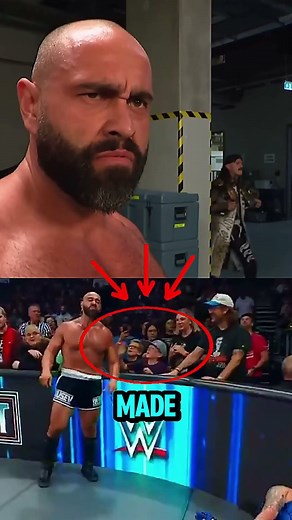 This Kid Tried to Touch a WWE Wrestler... Instantly Regrets It! | Wresting Mania7