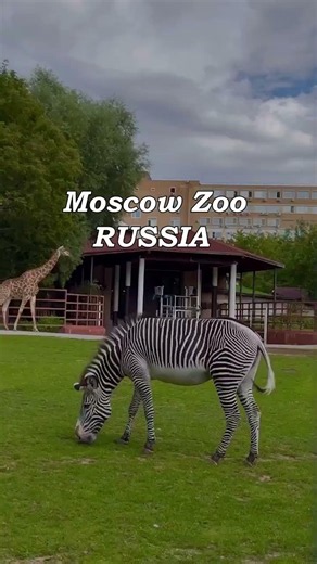 Top 10 Biggest Zoos in the World 🦁🌍 #shorts