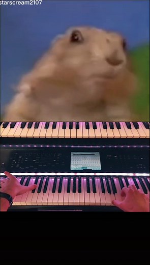 Dramatic Piano Meme Sound Effects Compilation