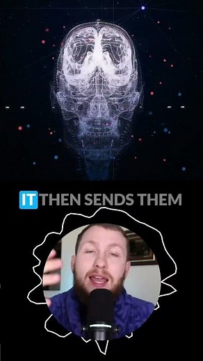 GoHighLevel Workflows That Run Your Business