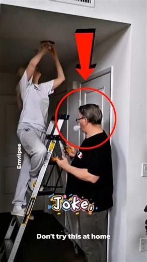 “She Joked About the Light Bulb—Then It Suddenly Turned On!” 😲💡#shorts #cat #jokes