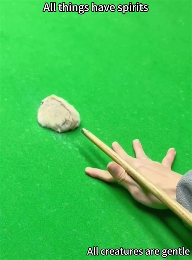 Hamster life#tiktok #funny #hamster#foryou #fyp | hamster