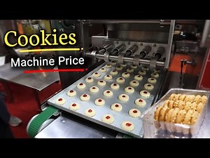 COOKIES | Biscuit Machine Price | Biscuit Making Business