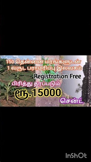 ரூ.15000 சென்ட் நல்ல செம்மண் பூமி விற்பனைக்கு| #farm #thirunelveli #gkhousingproperties #nanguneri
