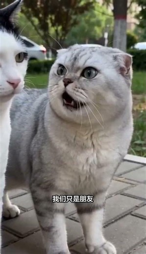 Decoding the AI Utility Pole: Unraveling Misconceptions