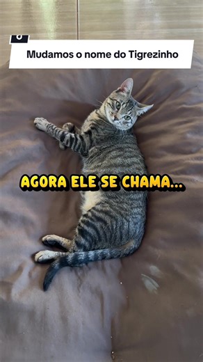 Mudança do nome do Tigrezinho para Cido!