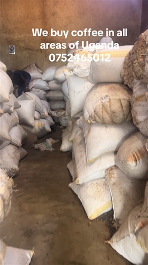 Quality Coffee and Maize Products from Ssemujju Factory